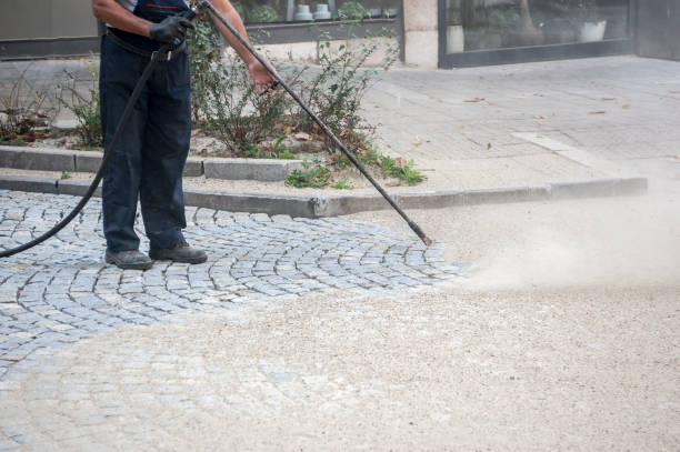 Best Winterizing Services  in Lyford, TX